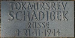 Abbildung